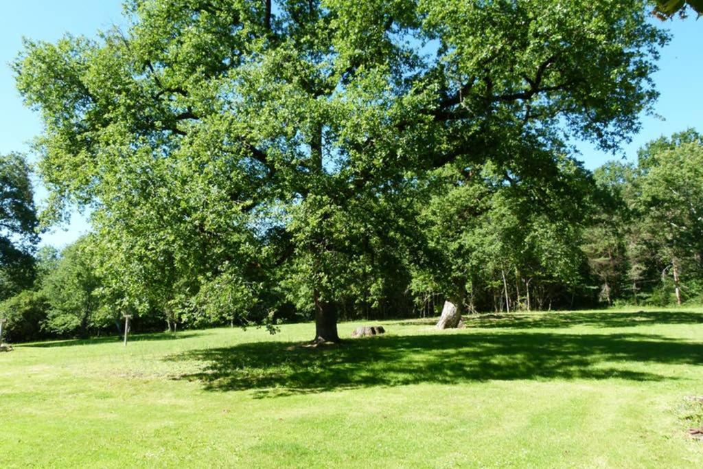 Gite En Brenne Les Chenes Merigny Zewnętrze zdjęcie